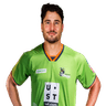 Marcus Stoinis