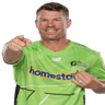 David Warner