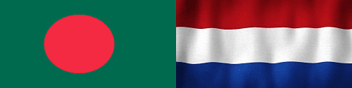 BAN versus NED